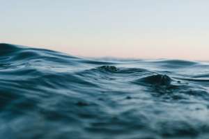 kennismarkt data privacyweb