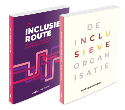 Combiset: De inclusieve organisatie & De inclusieroute